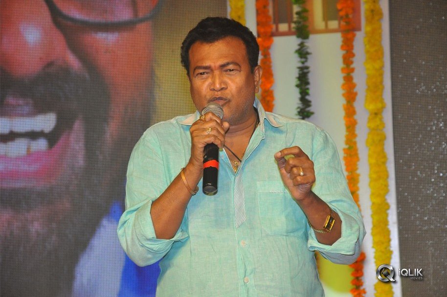 Ammammagarillu-Movie-Pre-Release-Function-Photos